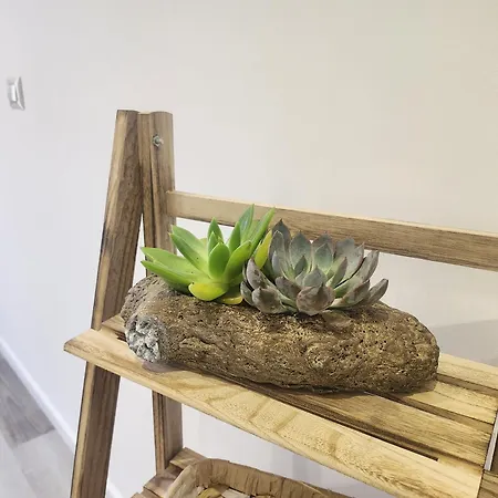 Πανσιόν Orange Boutique Αλγκέρο